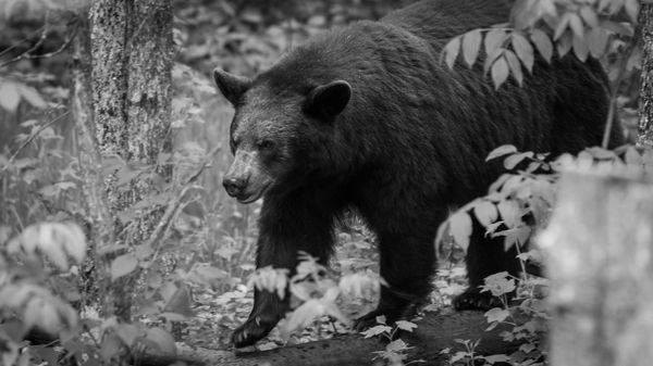 S00 A1367 Photography Art | Captured Adventure Photography