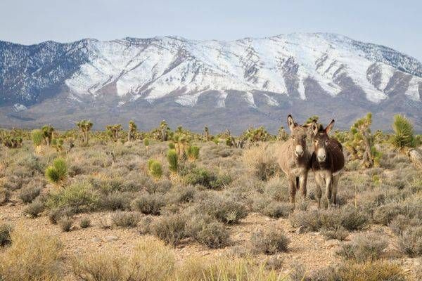 S00 A1239 Photography Art | Captured Adventure Photography