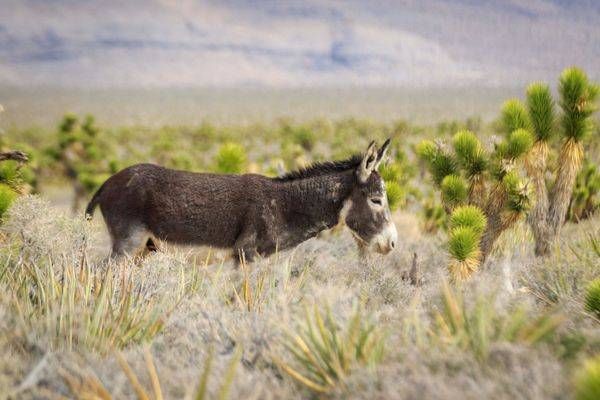 S00 A1713 Photography Art | Captured Adventure Photography