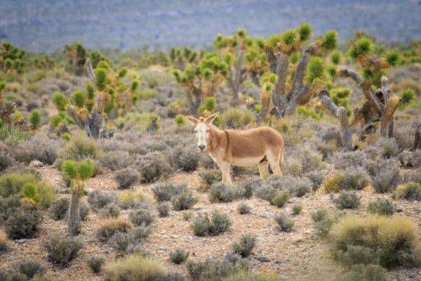S00 A1731 Photography Art | Captured Adventure Photography