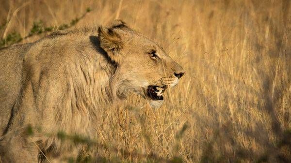 S00 A1752 Photography Art | Captured Adventure Photography