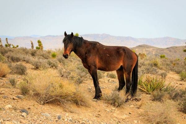 S00 A1509 Photography Art | Captured Adventure Photography