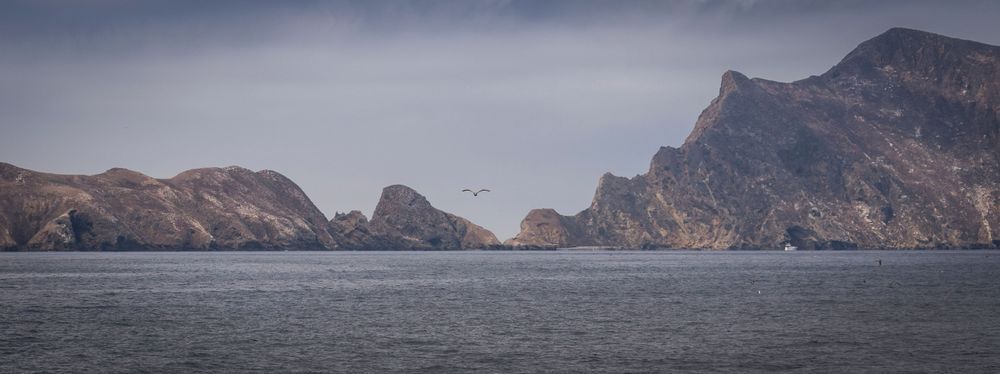 S00 A1867 Photography Art | Captured Adventure Photography