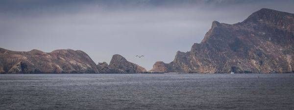 S00 A1867 Photography Art | Captured Adventure Photography