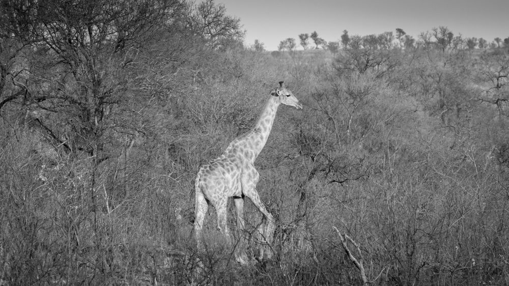 S00 A2310 Photography Art | Captured Adventure Photography