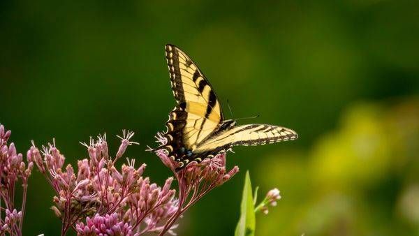 S00 A2153 Photography Art | Captured Adventure Photography