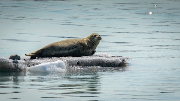 S00 A2061 Photography Art | Captured Adventure Photography