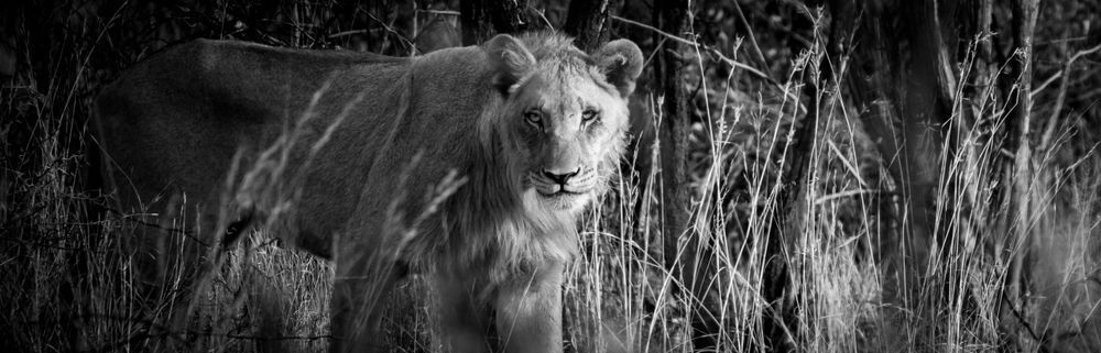 S00 A2064 Photography Art | Captured Adventure Photography