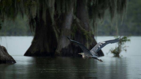 S00 A2711 Photography Art | Captured Adventure Photography