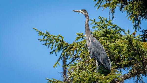 S00 A2786 Photography Art | Captured Adventure Photography