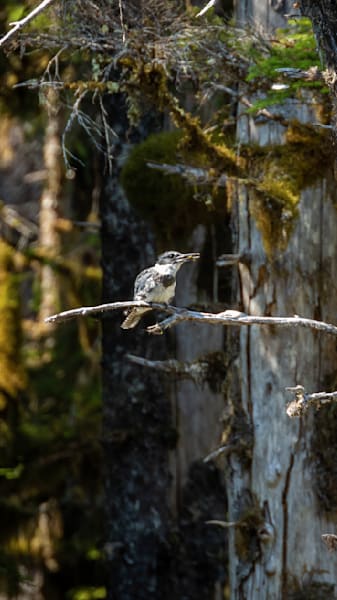 S00 A2616 Photography Art | Captured Adventure Photography