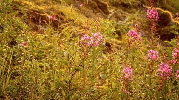 S00 A2519 Photography Art | Captured Adventure Photography
