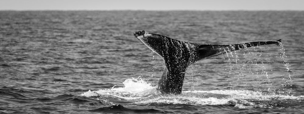 S00 A2483 Photography Art | Captured Adventure Photography
