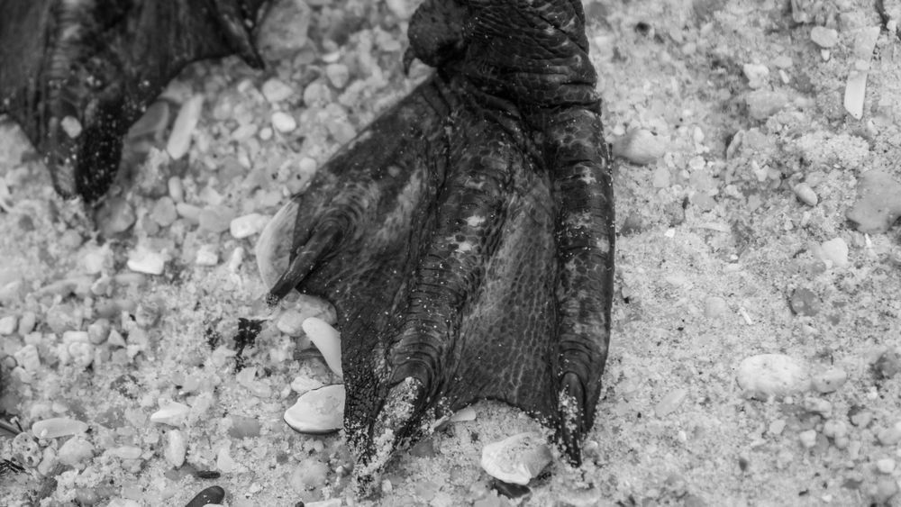 S00 A3222 Photography Art | Captured Adventure Photography