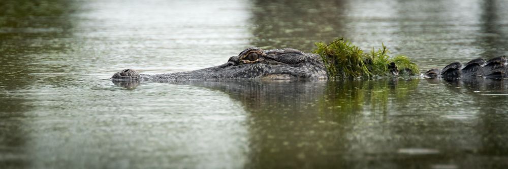 S00 A3056 Photography Art | Captured Adventure Photography