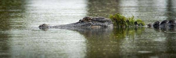 S00 A3056 Photography Art | Captured Adventure Photography