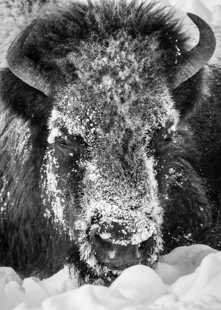 S00 A3583 Sharpen AI Motion Photography Art | Captured Adventure Photography