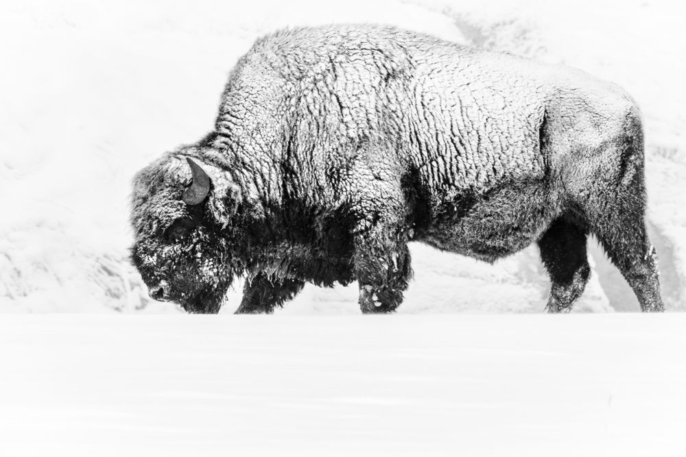 S00 A3830 Photography Art | Captured Adventure Photography