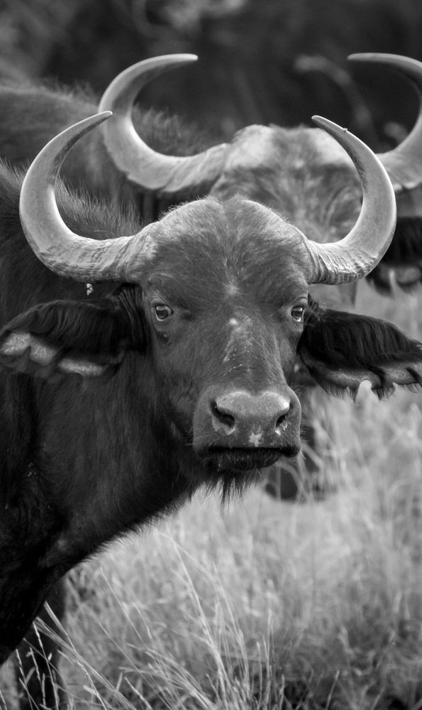 S00 A0199 Photography Art | Captured Adventure Photography