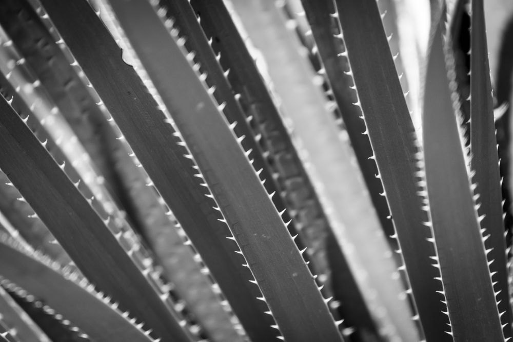 S00 A0007 Photography Art | Captured Adventure Photography