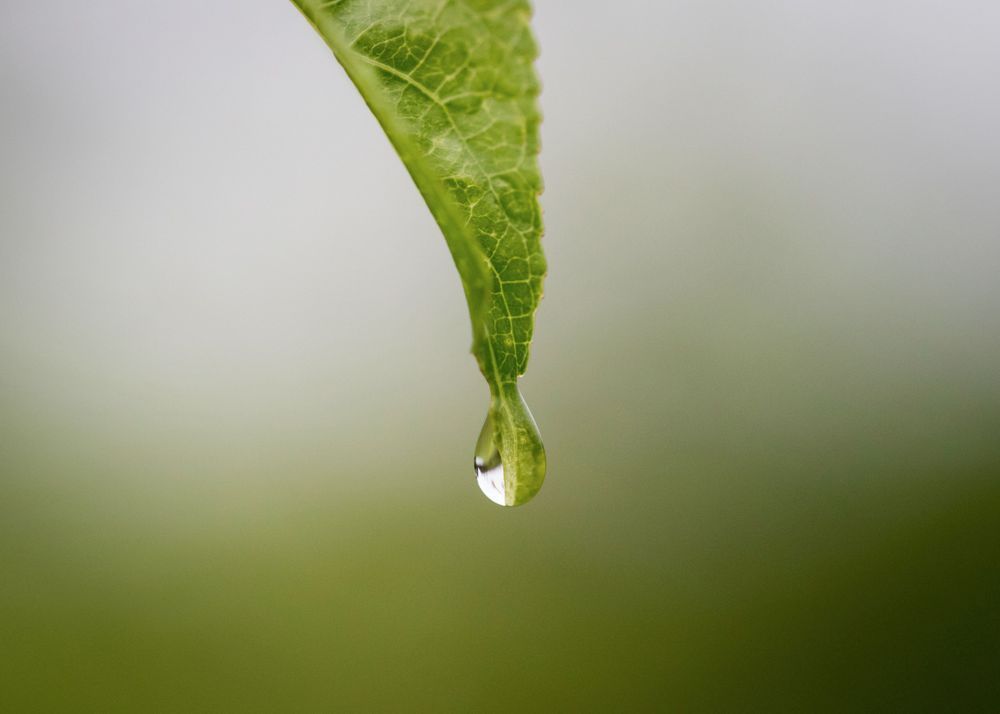 S00 A0550 Photography Art | Captured Adventure Photography