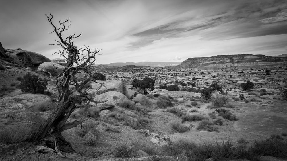 Wasteland Photography Art | Captured Adventure Photography