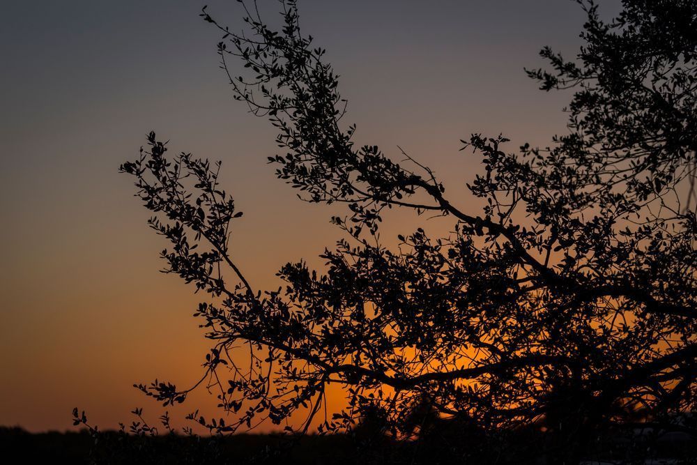 Mg 9616 Photography Art | Captured Adventure Photography