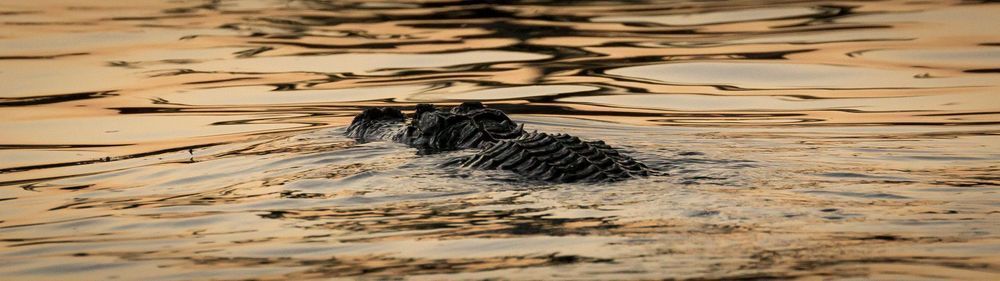 Mg 9641 Photography Art | Captured Adventure Photography