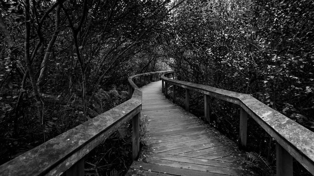 Mg 8999 Photography Art | Captured Adventure Photography