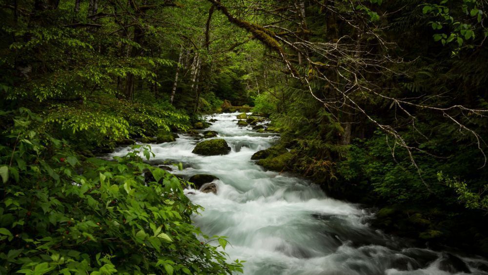 Mg 5436 Photography Art | Captured Adventure Photography