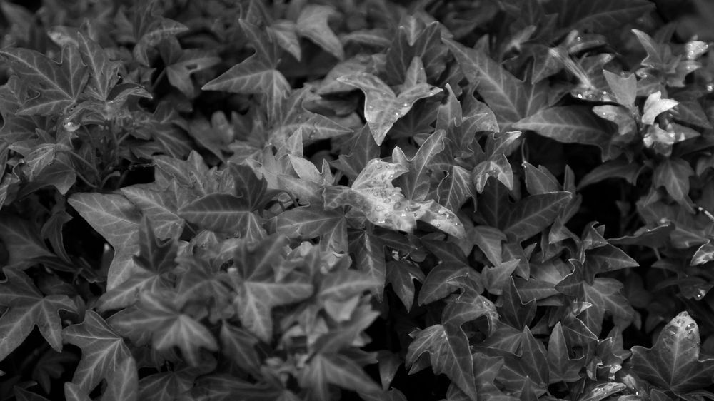 Mg 7346 Photography Art | Captured Adventure Photography