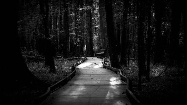 Mg 7678 1 Photography Art | Captured Adventure Photography