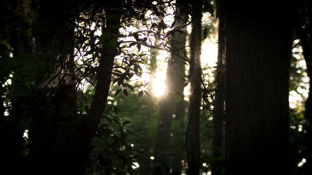 Mg 7681 1 Photography Art | Captured Adventure Photography