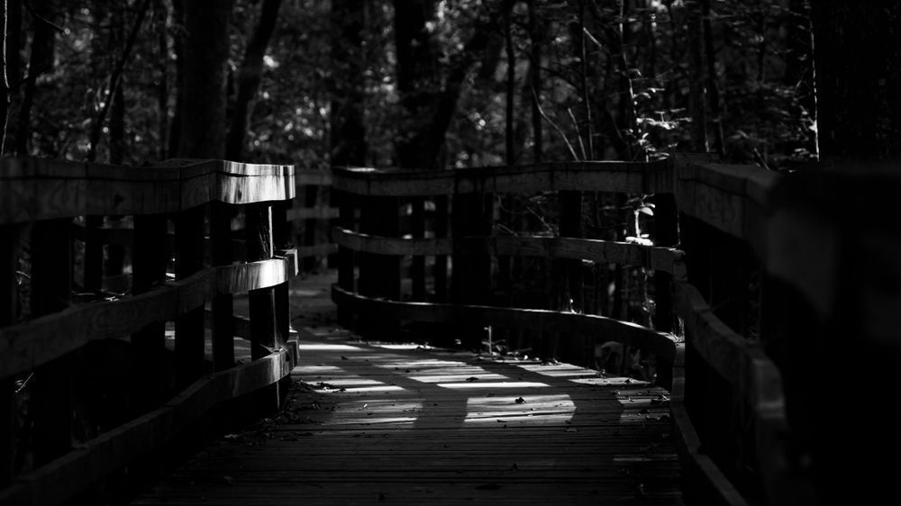 Mg 7515 Photography Art | Captured Adventure Photography