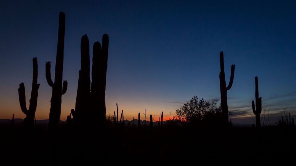 Mg 4369 Photography Art | Captured Adventure Photography