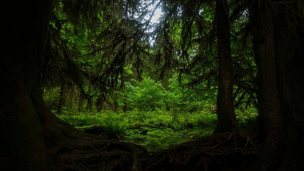 Mg 4937 1 Photography Art | Captured Adventure Photography
