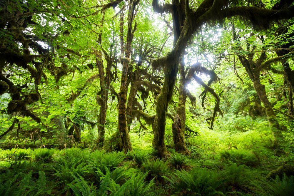 Mg 4842 Photography Art | Captured Adventure Photography