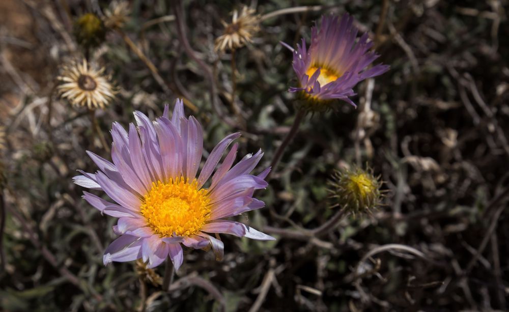 Mg 1399 Photography Art | Captured Adventure Photography