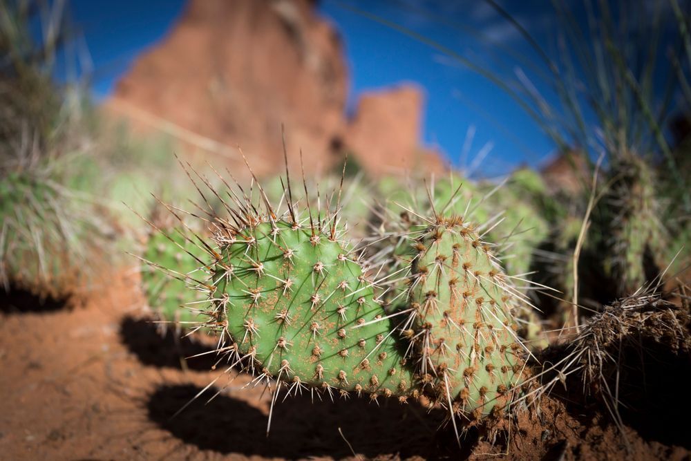 Mg 1075 Photography Art | Captured Adventure Photography