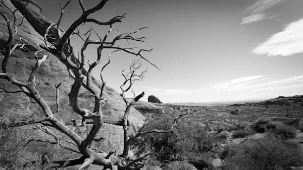 Mg 1405 Photography Art | Captured Adventure Photography