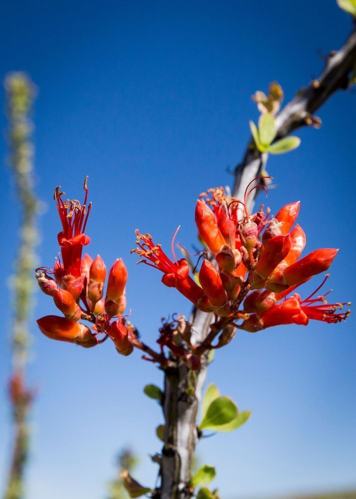 Mg 3114 Photography Art | Captured Adventure Photography