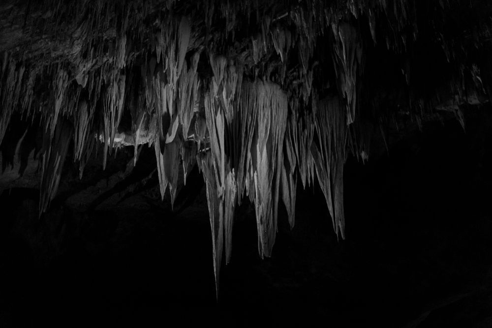 Mg 3587 Photography Art | Captured Adventure Photography