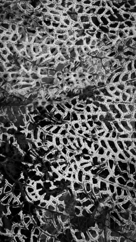 Mg 0415 Photography Art | Captured Adventure Photography