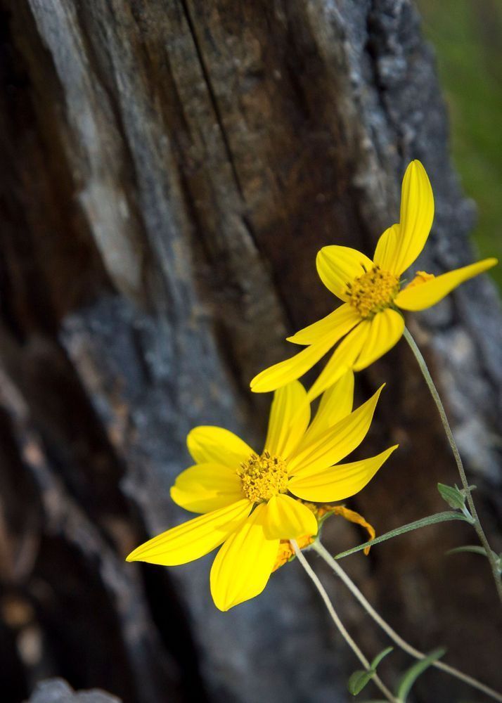 Mg 6158 Photography Art | Captured Adventure Photography