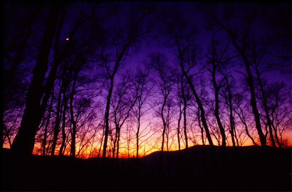 Sun Setting On A Cold Winter's Night.  Manchester, Vt Photography Art | Dave Kutchukian Photography