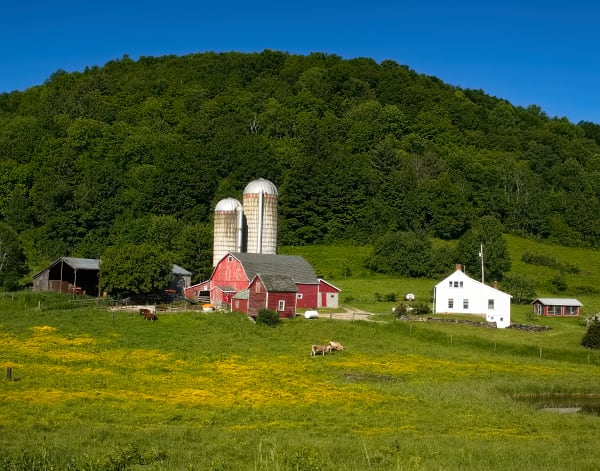 Pownal, VT Farm