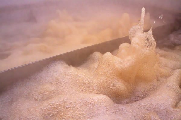 A Maple Sap Evaporator Boils Raw Sap In Vermont Photography Art | Dave Kutchukian Photography