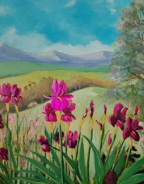 Iris Splender Art | Pam Holmquist Studio