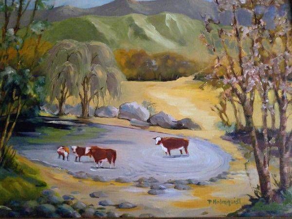 San Benito County Wading Pool Art | Pam Holmquist Studio