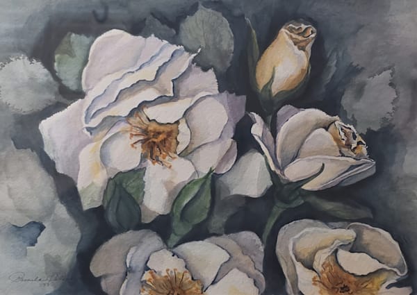Classic White Roses Art | Pam Holmquist Studio